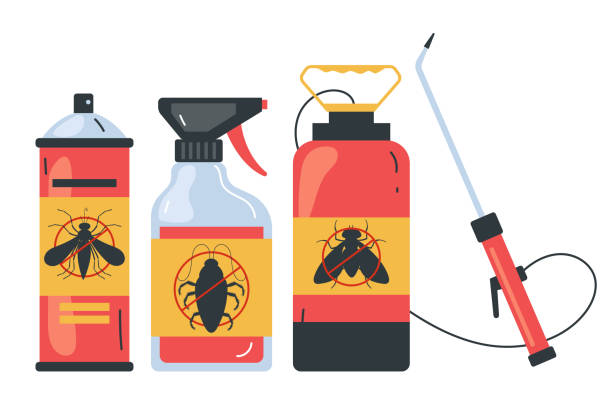 Reliable University Park, NM Pest Control Solutions