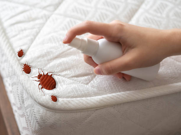 Pest Control for Restaurants in University Park, NM